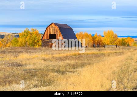 ancienne grange en automne à jens, montana Banque D'Images