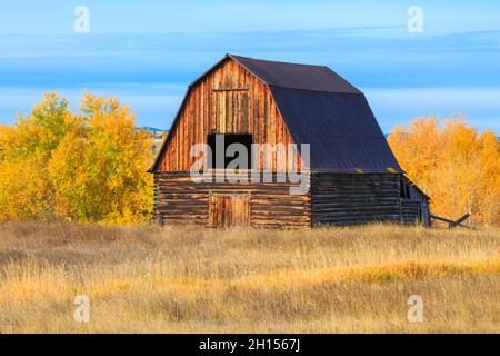 ancienne grange en automne à jens, montana Banque D'Images