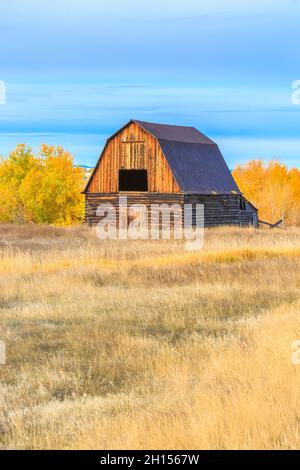 ancienne grange en automne à jens, montana Banque D'Images