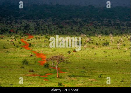 Une route reculée dans la savane.VOI, parc national de Tsavo, Kenya. Banque D'Images