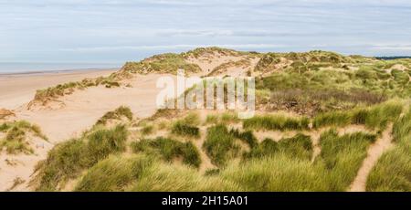 Un panorama multi image des dunes de sable qui bordent la plage de Formby près de Liverpool, plein de sentiers qui serpentant à travers l'herbe de maram. Banque D'Images