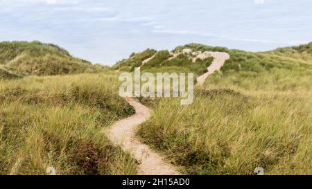 Un sentier qui se penche sur les dunes de sable entre la plage de Formby et la forêt de Formby près de Liverpool. Banque D'Images