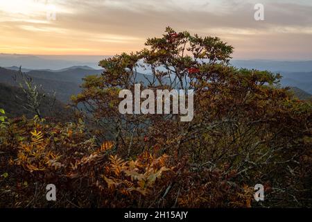 Couleurs d'automne dans la vue sur la montagne près d'Asheville en Caroline du Nord le long de la Blue Ridge Parkway. Banque D'Images