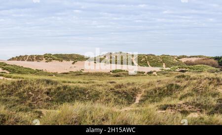 Un panorama à plusieurs images des hautes dunes de sable qui s'entour au-dessus de la plage de Formby près de Liverpool vu sortir de la forêt. Banque D'Images