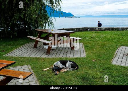 Temps de loisirs sur les rives du lac Léman (Genève) à Montreux, Suisse. Banque D'Images