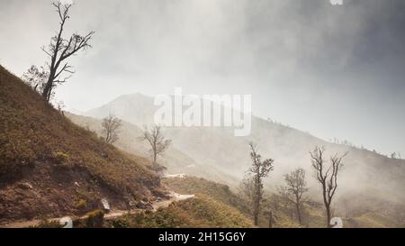 Paysage de montagne mystique avec arbres séchés.Les montagnes et les arbres brûlés sont entourés de brouillard.Nuage de soufre du volcan Ijen, Indonésie. Banque D'Images