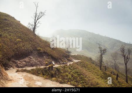 Paysage de montagne mystique avec arbres séchés.Les montagnes et les arbres brûlés sont entourés de brouillard.Nuage de soufre du volcan Ijen, Indonésie. Banque D'Images