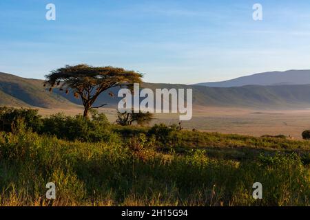 Vue sur le cratère de Ngorongoro.Zone de conservation de Ngorongoro, Tanzanie. Banque D'Images