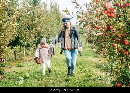 maman et sa petite fille marchant et cueillant des pommes dans le jardin. récolte d'automne. verger de pommes, jardin sauvage Banque D'Images