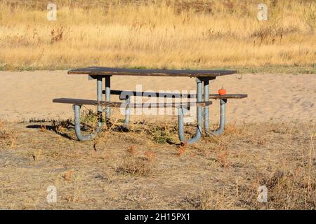 Petite décoration de citrouille d'Halloween laissée sur une table de pique-nique en bois au parc avec de l'herbe d'automne jaune séchée Banque D'Images