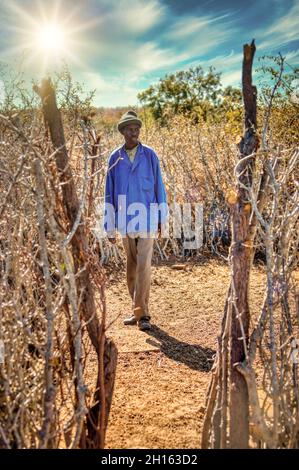 villageois africains qui sortent de la porte d'un krall dans un village du Botswana Banque D'Images