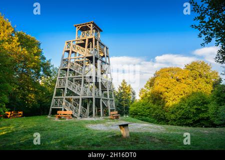 Tour en bois et table d'orientation du Mont Saint Rigaud, Haut Beaujolais Banque D'Images