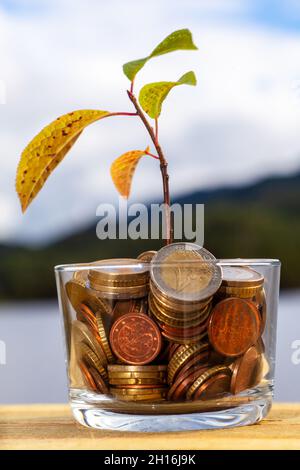 Gros plan de plante poussant à partir de pièces de monnaie.Le monde vert.Croissance économique.Environnement mondial écologique. Banque D'Images