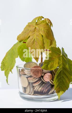 Gros plan de plante poussant à partir de pièces de monnaie.Le monde vert.Croissance économique.Environnement mondial écologique. Banque D'Images