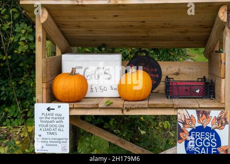 Usk, Monbucshire pays de Galles Royaume-Uni octobre 14 2021 Sporting Estate Farm shop avec comptoir de vente d'oeufs et de ponkins saisonniers d'halloween avec boîte d'honnêteté Banque D'Images