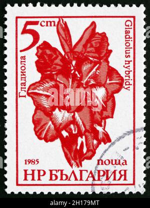 BULGARIE - VERS 1985 : un timbre imprimé en Bulgarie montre Gladiolus, Gladiolus Hybrid, Fleur, vers 1985 Banque D'Images