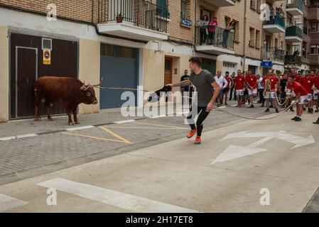 Lodosa, Espagne.16 octobre 2021.Un jeune homme fait une incision dans le taureau, tandis que les cordes (vêtues de rouge et de blanc) tiennent le taureau par les cornes dans les rues, pendant le festival.Un festival populaire de corrida qui est célébré en l'honneur de la Virgen de las Angustias.Un groupe de jeunes appelés « cogueros » fixe les cornes du taureau avec une corde, et le taureau traverse les rues de la ville dans le sud de Navarre, appelé Lodosa, Espagne.(Photo d'Elsa A Bravo/SOPA Images/Sipa USA) crédit: SIPA USA/Alay Live News Banque D'Images