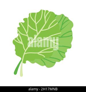 Icône vectorielle plate d'un collard frais.Légumes verts à feuilles.Des ingrédients sains pour les salades végétariennes Illustration de Vecteur