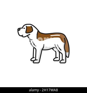 Saint-Bernard Suisse chien de montagne isolé animal animal de compagnie ligne plate icône.Vecteur Bernese sennenhund chiot de couleur blanche et brune.Drôle de caractère domestique Illustration de Vecteur