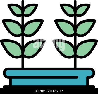 Icône de pot de plante de fenêtre.Fenêtre de contour pot de plante vecteur icône couleur plat isolé Illustration de Vecteur