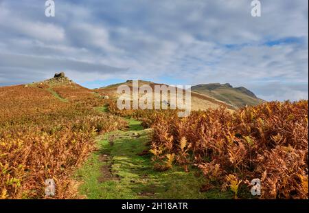 Le chemin de la crête sur Caer Caradoc vers Three Fingers Rock et le sommet de Caer Caradoc, Church Stretton, Shropshire Banque D'Images