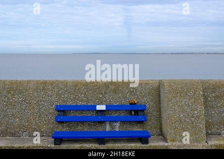 banc en bois bleu vide sur le mur de la mer Banque D'Images