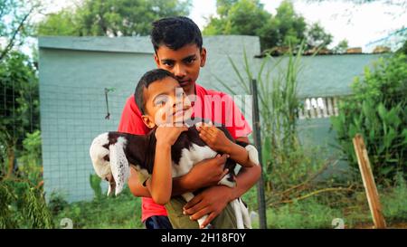 Deux garçons indiens drôles avec un petit garçon de chèvre.Les petits enfants s'occupent du goatling de la ferme. Les terres agricoles.La vie de village Banque D'Images