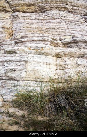 Des couches de roche de grès se sont formées pendant la période de l'Eocène qui composent la falaise est de Bournemouth, dans le Dorset, au Royaume-Uni Banque D'Images