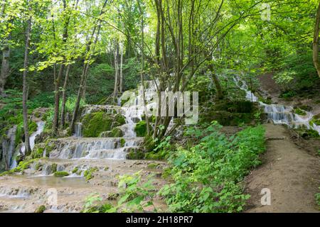 Cascade Falls Banque D'Images
