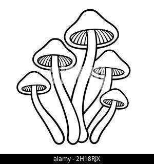 Champignons magiques Psilocybe cubensis.Dessin de lignes en noir et blanc.Illustration de clip art vectoriel. Illustration de Vecteur