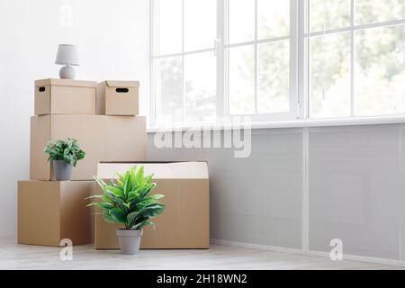 Pile de boîtes en carton avec effets personnels et plantes vertes dans des pots sur le sol près de la fenêtre, espace vide Banque D'Images