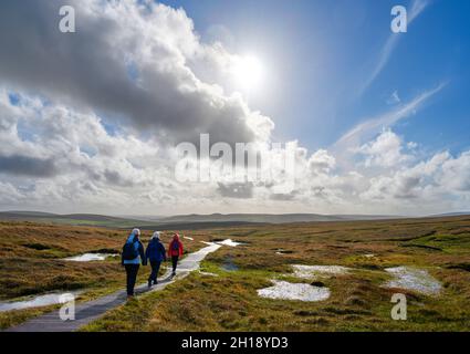 Marcheurs marchant sur un sentier dans la réserve naturelle nationale de Hermaness, Unst, Shetland, Shetland Islands, Écosse,ROYAUME-UNI Banque D'Images