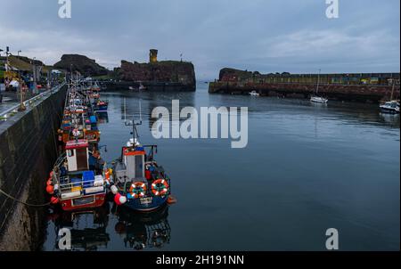 Dunbar, East Lothian, Écosse, Royaume-Uni, 17 octobre 2021.Photo : le château de Dunbar est illuminé la nuit comme un signal sur le changement climatique pour la COP26 Banque D'Images