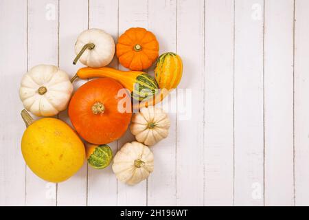 Citrouilles et squashes de saison différents sur le côté d'un fond en bois blanc avec espace de copie Banque D'Images