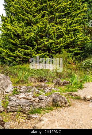 Vues sur le jardin botanique de l'université de Cambridge en pleine floraison 2021. Banque D'Images