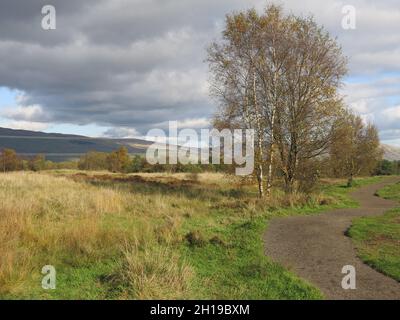 Parc national de Mugdock: Beaucoup de pistes de moorland et les Fells de CAMPSIE au loin; sortir dans la campagne écossaise juste au nord de Glasgow. Banque D'Images