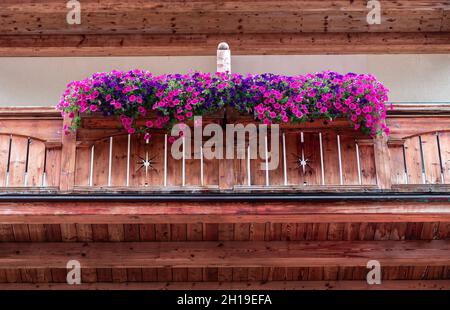 Balcons alpins traditionnels en bois décorés de fleurs, particulièrement typiques de la Suisse allemande et du Tyrol.Samnaun, Suisse, un vill hors taxes Banque D'Images