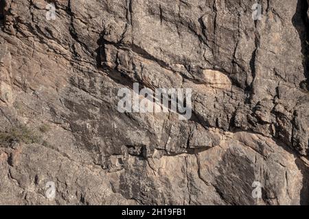 Texture du mur de roche composant le Black Canyon de la Gunnison Banque D'Images