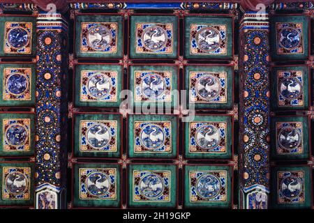 Hérons blancs peints sur des carreaux de plafond dans la salle du trône du Palais de l'harmonie suprême.Cité interdite, Pékin, Chine. Banque D'Images