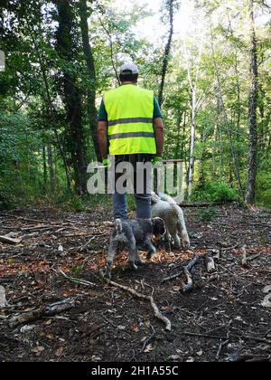 Abruzzes, Italie.17 octobre 2021.Un chasseur de truffes et ses chiens de truffes recherchent des truffes blanches près de Castel di Sangro, dans les Abruzzes, en Italie, le 3 octobre 2021.Credit: Fabio Cerretano/Xinhua/Alay Live News Banque D'Images