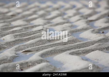 Un gros plan de sable avec de petites zones d'eau dessus Banque D'Images
