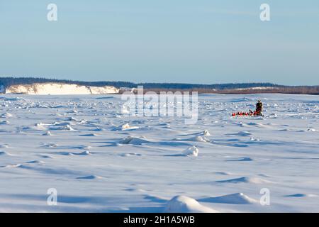 Course de traîneau à chiens Iditarod, fleuve Yukon, Galena, Alaska Banque D'Images