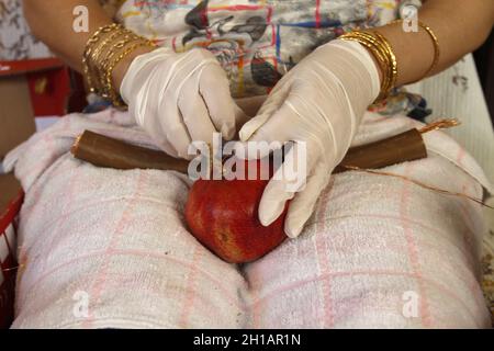 Naplouse, Palestine.17 octobre 2021.Samaritan tient un fruit en préparation pour la fête traditionnelle connue sous le nom de Sikka.Les Samaritains se préparent à la Fête du trône, connue sous le nom de Sikka, sur le Mont Gerizim dans la ville de Naplouse, en Cisjordanie.La secte Samaritaine est considérée comme la plus petite dénomination du monde, avec 800 membres.Crédit : SOPA Images Limited/Alamy Live News Banque D'Images