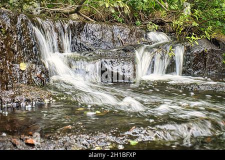 ruisseaux suédois, rivières avec petites et grandes cascades dans la nature intacte. loisirs, aventure et beaucoup de détente dans la nature incomparable. Banque D'Images