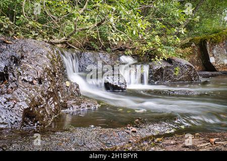 ruisseaux suédois, rivières avec petites et grandes cascades dans la nature intacte. loisirs, aventure et beaucoup de détente dans la nature incomparable. Banque D'Images