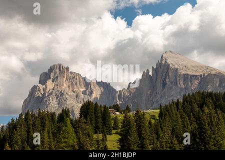 Vue sur Seiser Alm, Alpe di Siusi, sur Langkofel et Plattkofel, Tyrol du Sud Banque D'Images