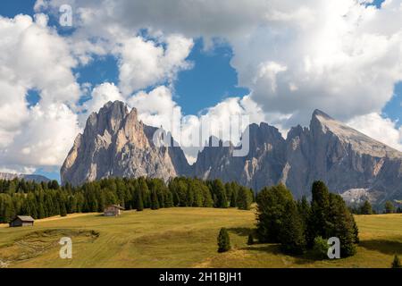 Vue sur Seiser Alm, Alpe di Siusi, sur Langkofel et Plattkofel, Tyrol du Sud Banque D'Images