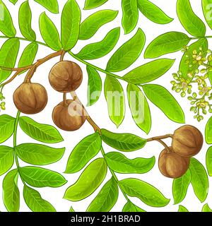 motif vectoriel andiroba sur fond blanc Illustration de Vecteur