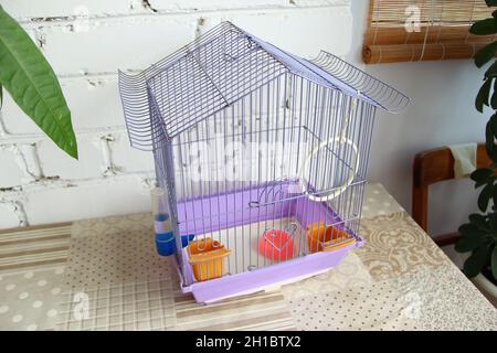 Vide cage à oiseaux avec accessoires dans un appartement sur un fond de mur de brique Banque D'Images