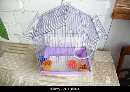 Vide cage à oiseaux avec accessoires dans un appartement sur un fond de mur de brique Banque D'Images